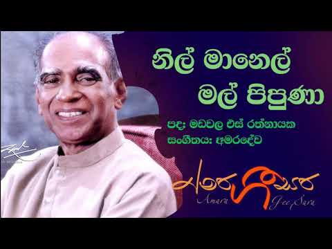 Nil Manel Mal Pipuna |W D Amaradeva
