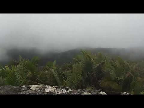 el yunque 5