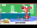 Pakdam Pakdai Full Episode MOTU S BIRTHDAY