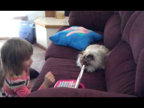 Miss V learning the alphabet from Brynn!