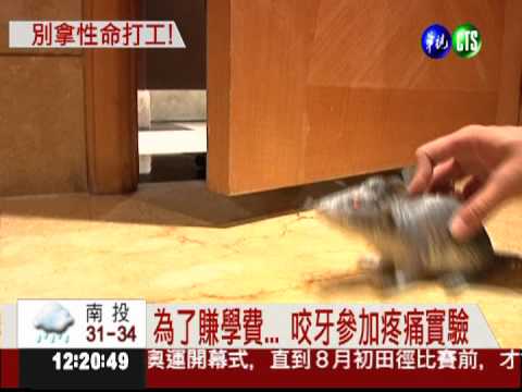 危險!人體"白老鼠" 超高薪打工