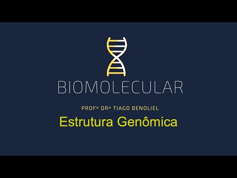 Ácidos Nucleicos - Aula 05 - Estrutura Genômica
