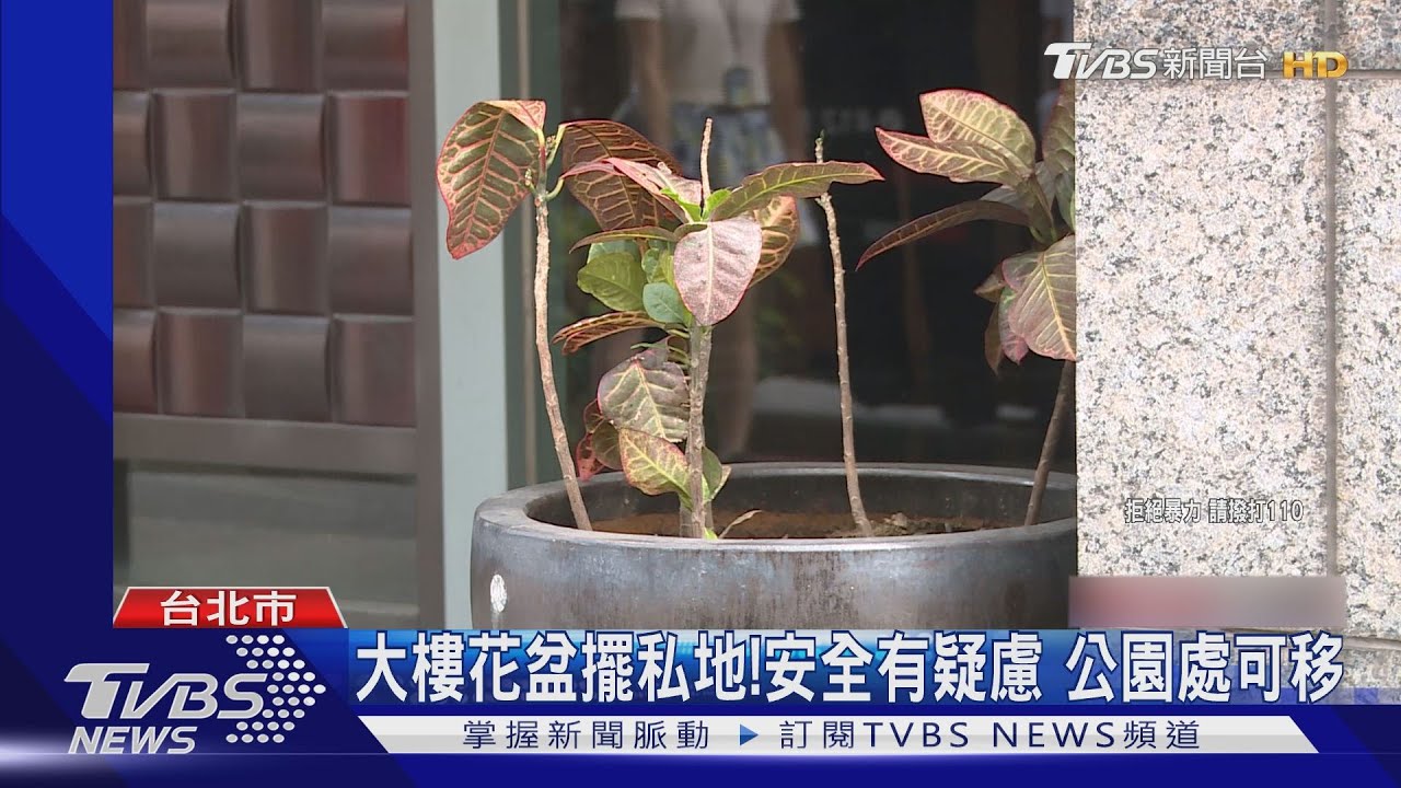 走路絆倒大樓花盆!管理員關心反遭痛毆 動手男遭警逮