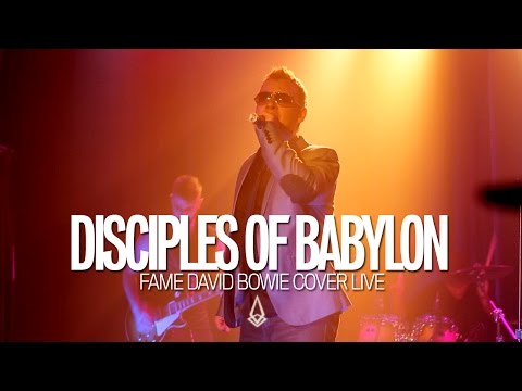 Disciples of Babylon - Fame - David Bowie Cover [Official Live Concert Video]