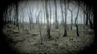 Sopor Fratrem Mortis Est (demo)