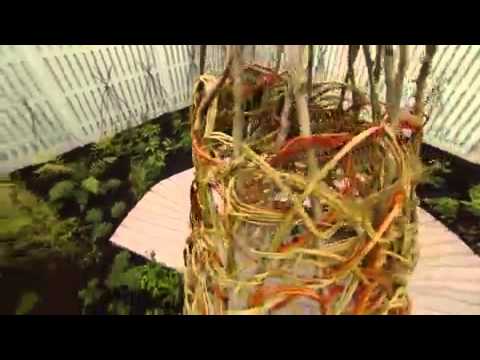 Cuprinol SuperGarden Episode 1