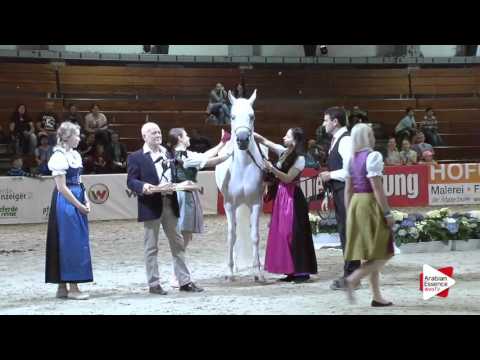 Wels 2016 - International Special Awards - Prizegiving - Best in Show: n.69