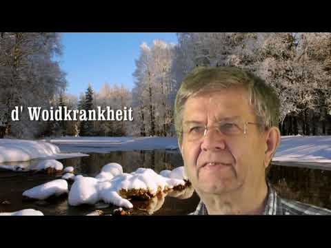Bosl Hans    -      d'Woidkrankheit