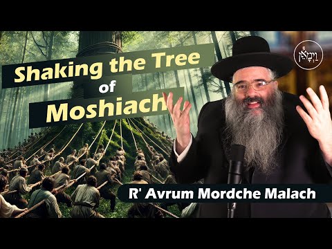 Shaking the Tree of Moshiach | Rabbi Avrum Mordche Malach