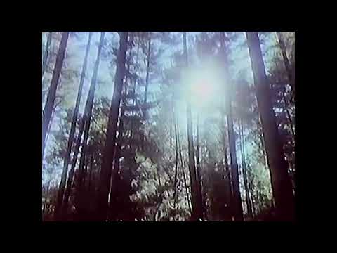 [FREE FOR PROFIT] CLOUD RAP TYPE BEAT "PHOSPHORUS"