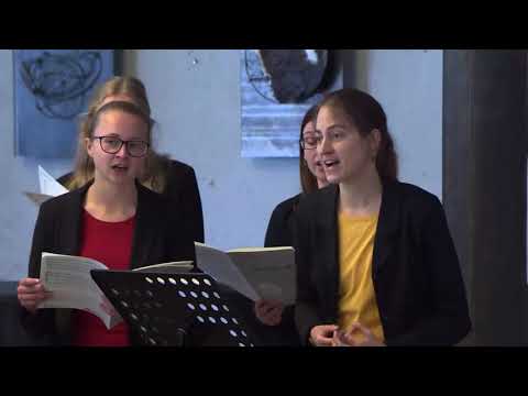 Frischer Wind - Mein ganzes Leben