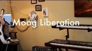 Video thumbnail for Moog Liberation (Demo 1) by MrKeytarist