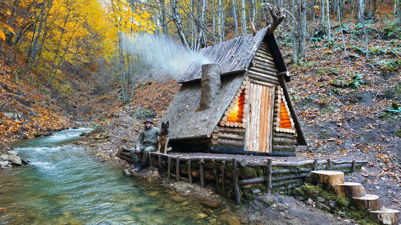 Off Grid Forest Life With My Dog | Building Our Cabin Far From People