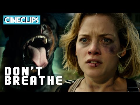 Chased By A Rottweiler | Don't Breathe | CineStream