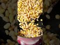 Peruvian Beans Canary Beans Cravings Journal Spanish