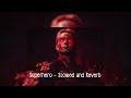 Superhero Metro Boomin Future Without Chris Brown Slowed N Reverb Homelander Intro
