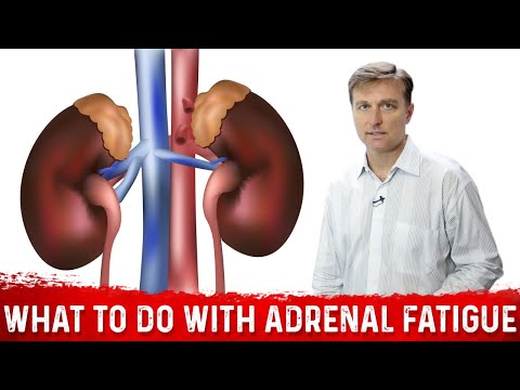 Adrenal Body Type Seminar by Dr Eric Berg