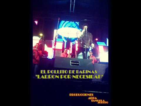 danielito hernandez el pollito de barinas ladron por necesidad