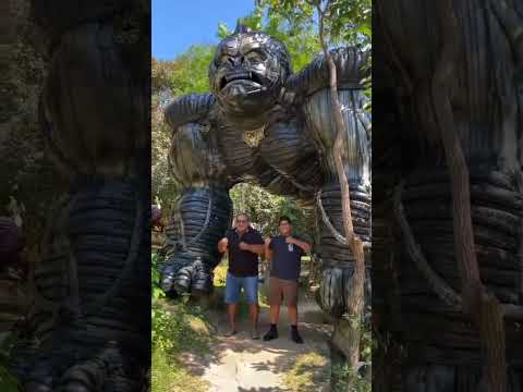 portafolio de ediciones, video Lamas, tarapoto - san martin