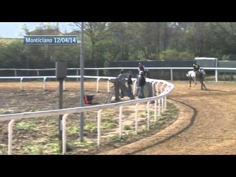 Corse di addestramento a Monticiano - prima parte