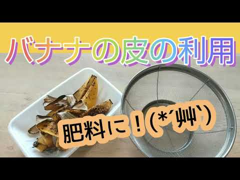 天然肥料としてバナナの皮を好む植物はどれですか?  庭園