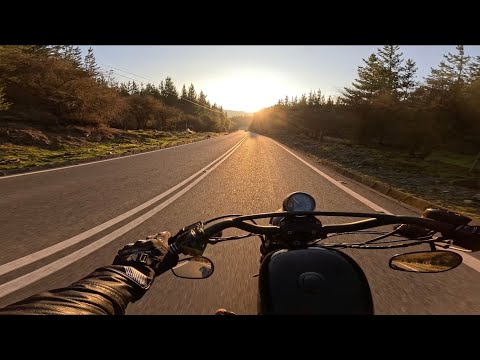 Harley Davison Iron 883 Region del Maule Talca - Pencahue, Chile.