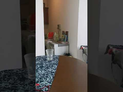 Gemmill Lane off Club St, Boat Quay / Raffles Place / Marina, 1 Bedroom, 420 sqft, Conservation House For Rent, by Yin Lim, 21561722 - PropertyGuru.com.sg