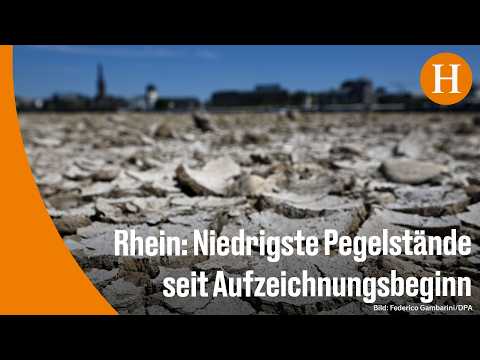 Video Thumbnail: Köln, Duisburg, Düsseldorf: Rheinpegel erreicht historische Tiefstände
