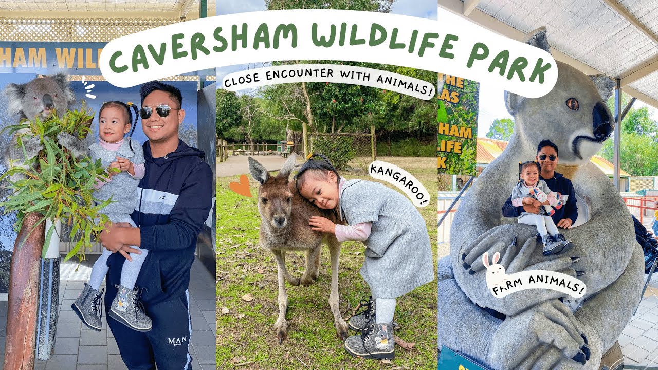 Join a family on a visit to Caversham Wildlife Park.
