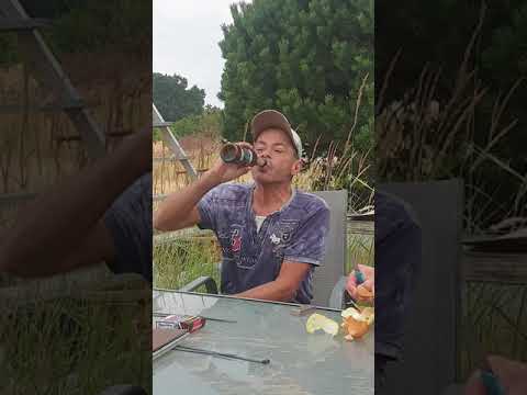 Professioneller Dr. Maus