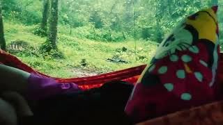 tulay