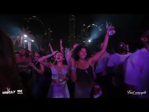 DJ Mneddy ft. MC Smylie at Butterfly Carnival Dubai 🎶🎉 REMA | ASAKE | WIZKID | BURNA BOY | ISMA IP