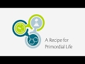 A Recipe for Primordial Life