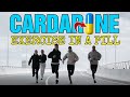 Boost Cardio By 75 Breakthrough Research On Cardarine Gw501516