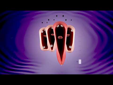 Adult Swim Choir is Gorgeous