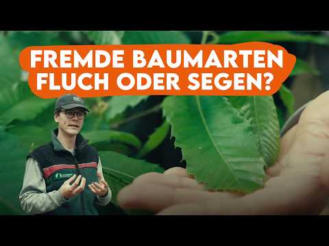 You should NEVER plant these TREES - Forestry explains