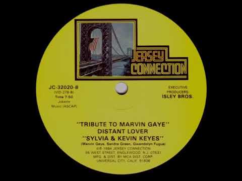 Video thumbnail for Tribute to Marvin Gaye: Distant Lover