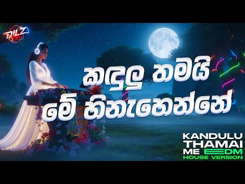 Kandulu Thamai Me Hinahenne | කඳුලු තමයි මේ හිනැහෙන්නේ | EDM Version | Female Cover | DILZ
