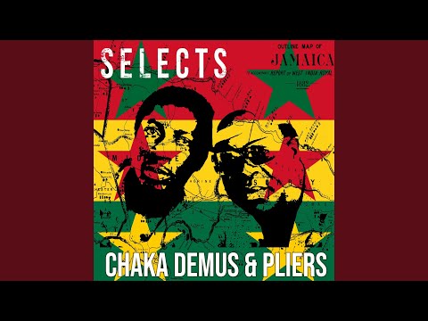 Chaka Demus & Pliers Selects Reggae - Continuous Mix