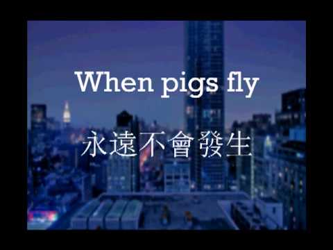 豚が飛ぶとき (When pigs fly)