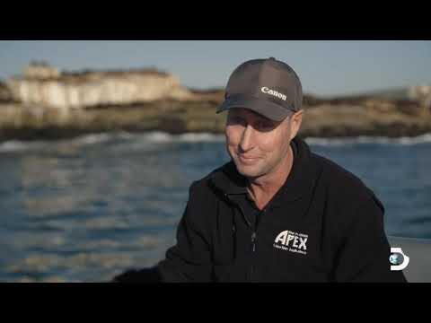 O maior salto de tubarão já registrado