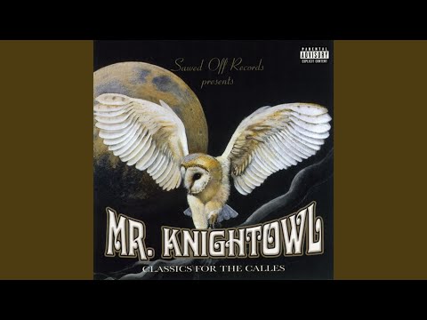 Here Comes the Knight Owl