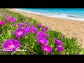 Peaceful music, Relaxing music, Instrumental music "Still Moonlight Waters" by Tim Janis