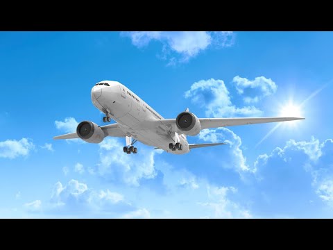 Fatal Alarms: The Mystery of Birgenair Flight 301 & Aviation Accident Insights"