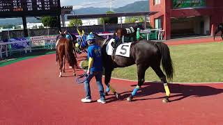 パドックでプリケツを見る会in佐賀競馬　20241104