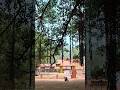 Kodungallur Sree Kurumba Bagavathi Temple Place Viral Kodungalloor Amma Shorts Video Karinkaliyalle