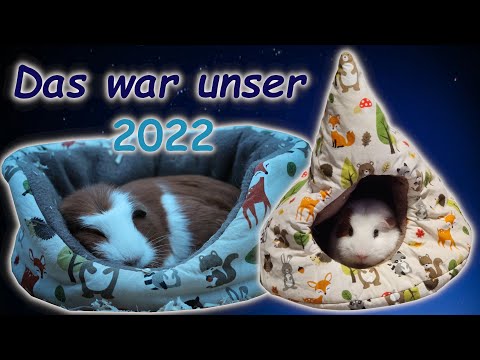 Das war unser Jahr 2022 🍀 Jahresrückblick 🍀