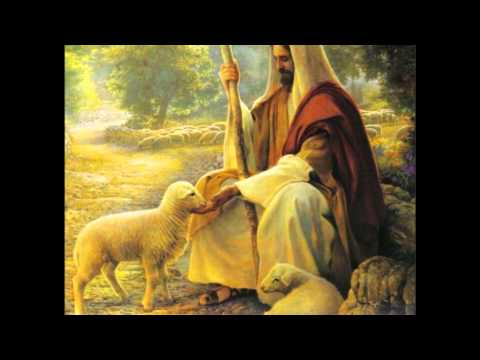 Mighty Lamb video