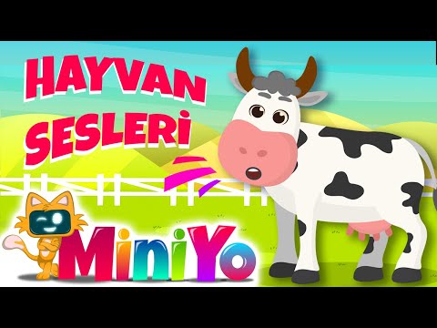 Hayvan Sesleri Şarkısı | Eğlenceli Miniyo Şarkıları