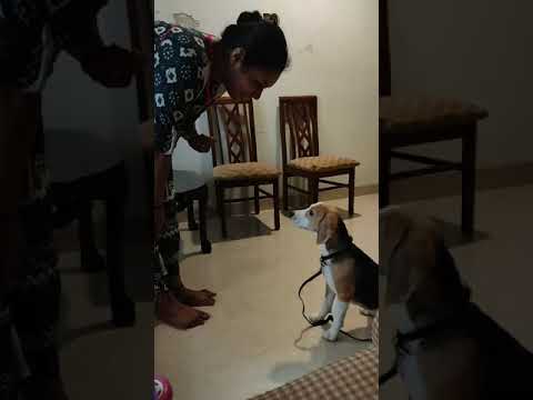 training session of my mia